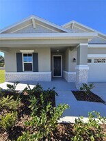 1434 Maddie Berry Ln in Kissimmee, FL - Building Photo