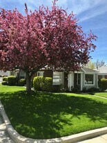 1688 Blaine Ave, Unit BSMT in Salt Lake City, UT - Building Photo