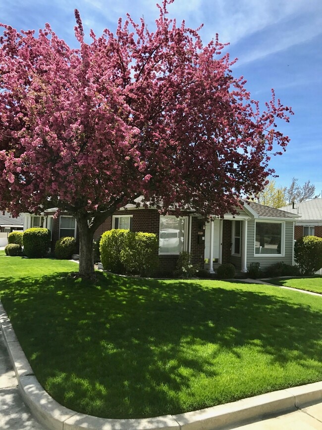 property at 1688 Blaine Ave