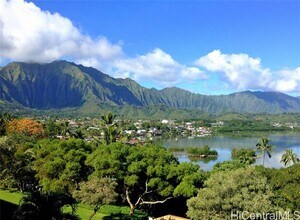 46-065-65 Konohiki St in Kaneohe, HI - Building Photo - Building Photo