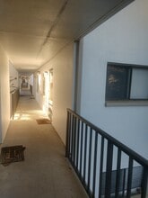 2375 Fox Chase Blvd in Palm Harbor, FL - Building Photo - Building Photo