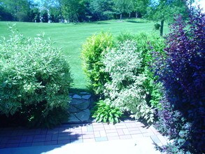 226 Grandview Ct in Algonquin, IL - Building Photo - Building Photo