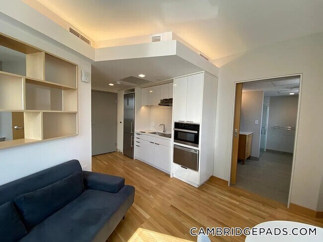 115 Mt Auburn St in Cambridge, MA - Building Photo - Building Photo