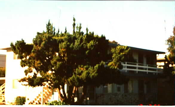 309 Kuehnis Dr in Campbell, CA - Building Photo - Building Photo