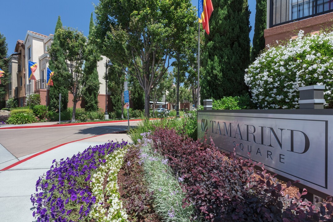 Tamarind Square in Sunnyvale, CA - Building Photo