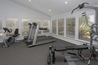 Park at Countryside in Port Orange, FL - Foto de edificio - Interior Photo