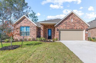 18211 Saffron Sun St in Conroe, TX - Building Photo