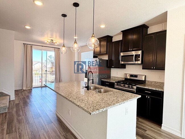 4255 Cyan Cir in Castle Rock, CO - Building Photo - Building Photo
