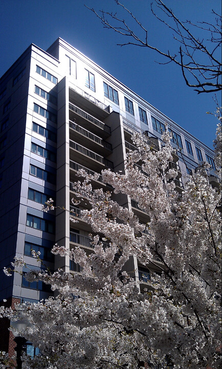 The Regency in New Bedford, MA - Building Photo