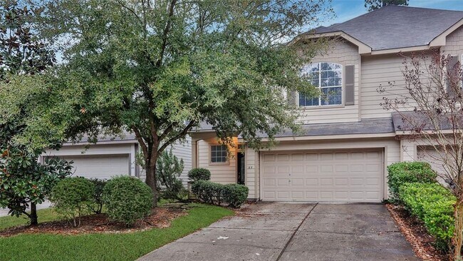 87 W Twinvale Loop in The Woodlands, TX - Building Photo - Building Photo