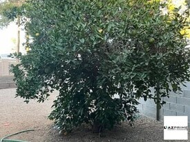 6820 E Avalon Dr in Scottsdale, AZ - Building Photo