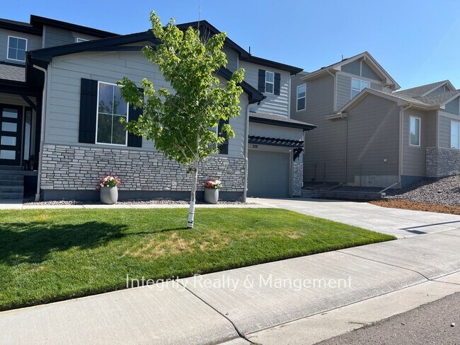 359 Rogers Wy in Castle Rock, CO - Foto de edificio - Building Photo
