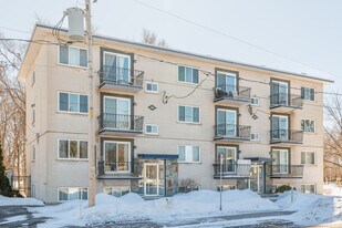 356 D'argenteuil Rue in Laval, QC - Building Photo