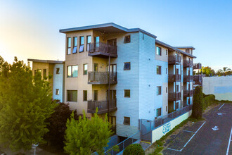 The Veranda in Oakland, CA - Building Photo - Building Photo