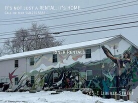 265-E Liberty St in Harrisonburg, VA - Building Photo