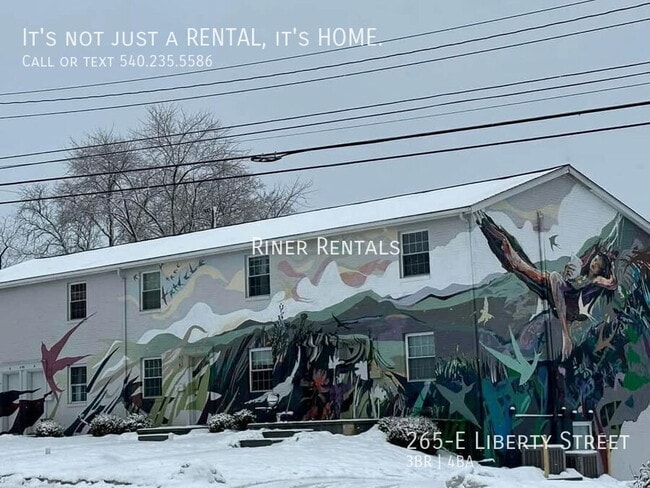 property at 265-E Liberty St
