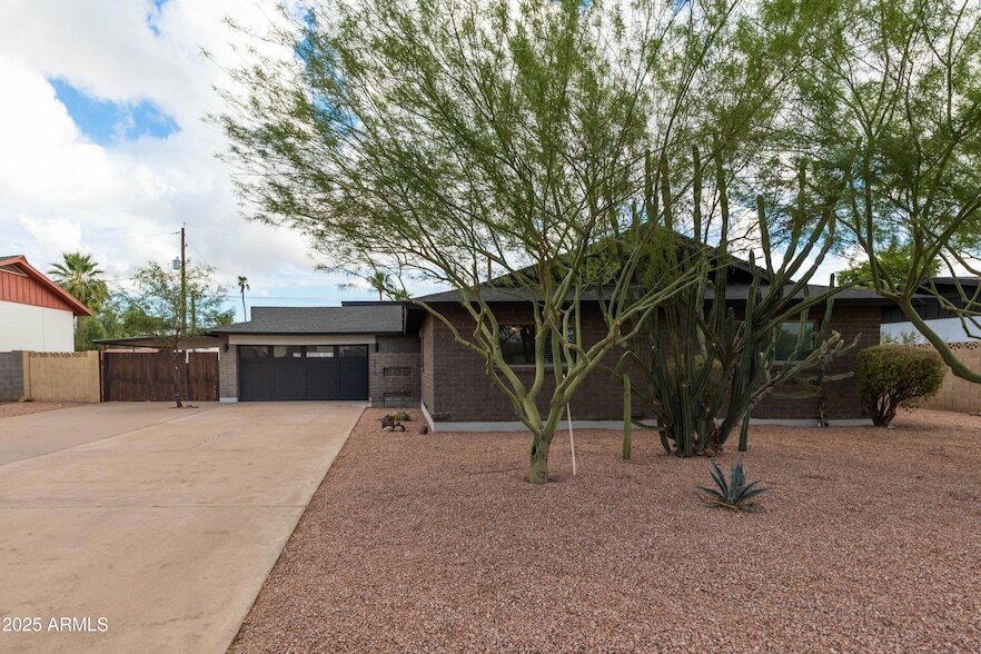 210 E Riviera Dr in Tempe, AZ - Building Photo