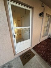 6334 Spring Flower Dr in New Port Richey, FL - Building Photo - Building Photo