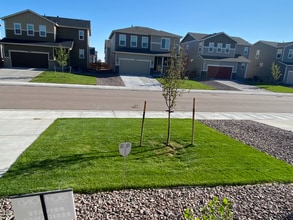 7076 Preble Dr in Colorado Springs, CO - Building Photo - Building Photo