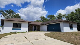 1524 Newhope Rd in Spring Hill, FL - Building Photo