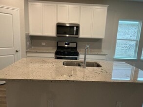 403 Osier Pass in Hutto, TX - Building Photo - Building Photo