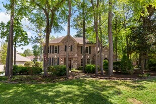 10 Scenic Mill Pl in Spring, TX - Building Photo