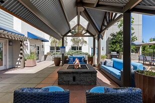 Destinations Lynnwood 61+ Active Adult Apartment Homes in Lynnwood, WA - Building Photo