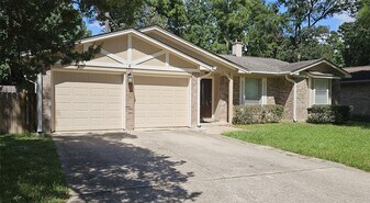 22 W Broken Oak Ct in Spring, TX - Building Photo
