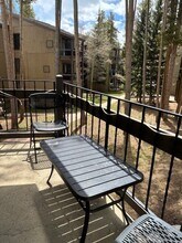 1173 Ski Hill Rd in Breckenridge, CO - Building Photo - Building Photo