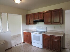 10603 Van Gordon Way in Westminster, CO - Building Photo - Building Photo