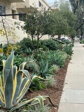 1030 Idaho Ave in Santa Monica, CA - Foto de edificio - Building Photo