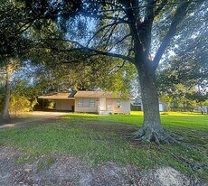 30121 Julia St in Albany, LA - Building Photo