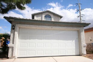 2882 Sandy Fls Wy in Las Vegas, NV - Building Photo