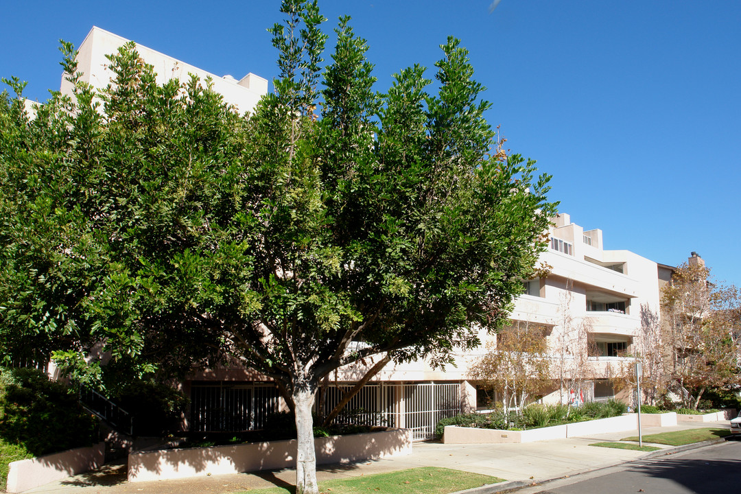 10647 Wilkins Ave in Los Angeles, CA - Building Photo