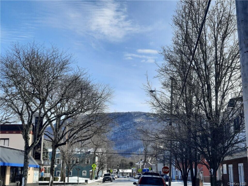 7 Idlewild Ave, Unit B in Cornwall On Hudson, NY - Building Photo