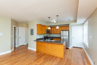 1503 W Albion Ave in Chicago, IL - Building Photo - Building Photo