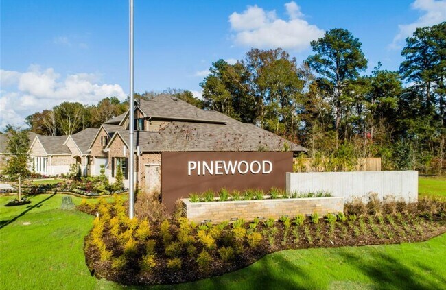 22463 Douglas Ct in New Caney, TX - Building Photo - Building Photo