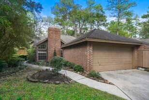 31 Silver Canyon Pl in Spring, TX - Building Photo
