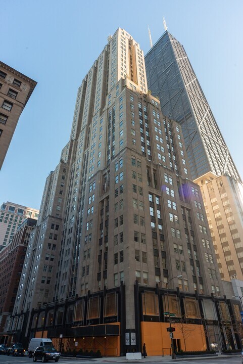 159 E Walton Pl in Chicago, IL - Building Photo