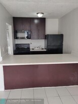 251 NW 177th St in Miami Gardens, FL - Building Photo