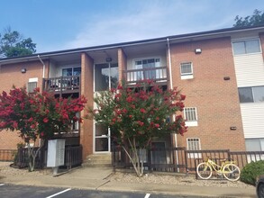 1215 Wertland St, Unit A22 in Charlottesville, VA - Foto de edificio - Building Photo