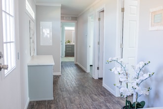 6105 E McKinney St in Denton, TX - Building Photo - Building Photo