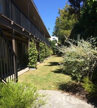 2813 Shattuck Ave in Berkeley, CA - Foto de edificio - Building Photo