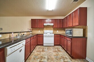 3019 Zephyr Glen Way in Houston, TX - Building Photo - Building Photo