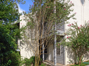 1904 Robbins Pl in Austin, TX - Building Photo - Building Photo