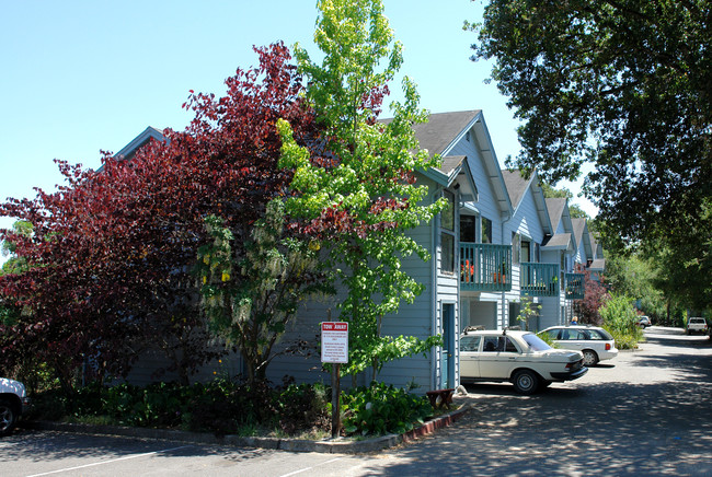 Burbank Heights Apartments in Sebastopol, CA - Building Photo - Building Photo