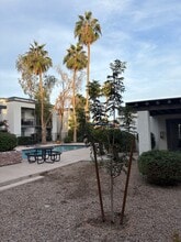 740 W Elm St, Unit 220 in Phoenix, AZ - Foto de edificio - Building Photo