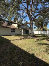 11805 Holly Creek Dr in Riverview, FL - Foto de edificio - Building Photo