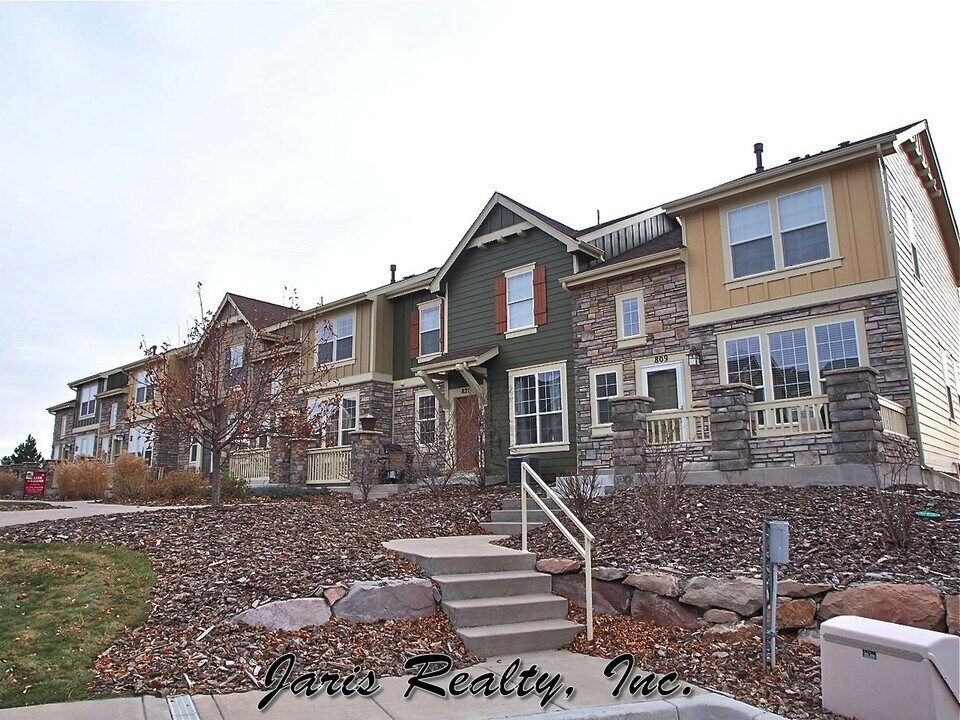 821 Stony Mesa Pl in Castle Rock, CO - Building Photo