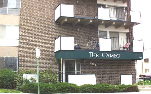 The Cameo in Denver, CO - Building Photo - Building Photo